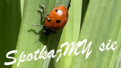  Na zdjęciu widać biedronkę na liściu i napis ,,Spotkajmy się’’.