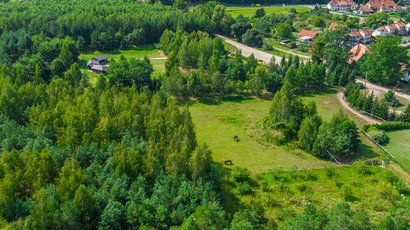 Panorama krajobrazu z fragmentem lasu i zabudową.