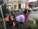 IMG 7193