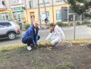 IMG 7197