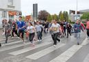 IMG 4517