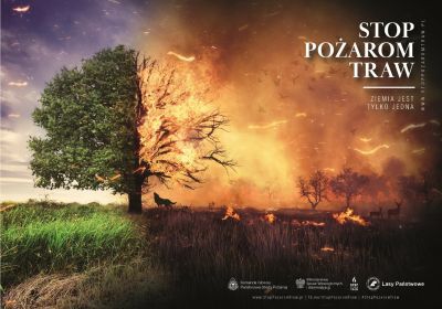 APEL w sprawie zaniechania wypalania traw