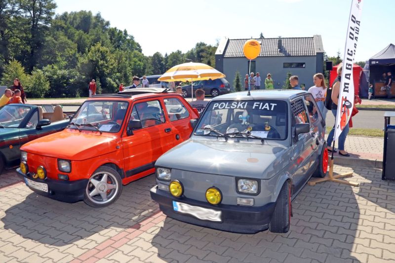 bezpieczni na drodze11