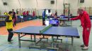 Pink pong4