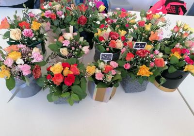 Wydarzenia w projekcie „Pomorskie z Ukrainą, Powiat Kwidzyński z Ukrainą”