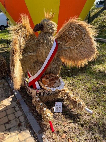 Wieniec dożynkowy, zgłoszony w konkursie. 