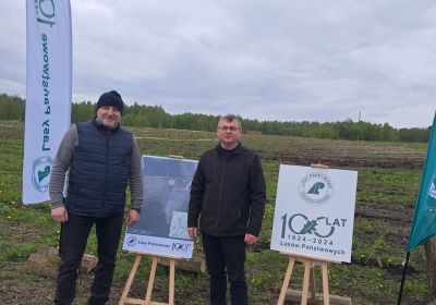 Sadzenie lasu z okazji 100-lecia Lasów Państwowych
