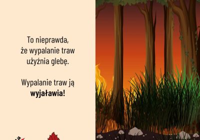 Strażacy apelują - „Stop Pożarom Traw”
