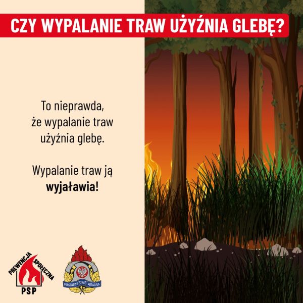 Plakat informacyjny do treści artykułu przedstawia zagrożenia związane z wypalaniem traw oraz kluczowe informacje na ten temat.