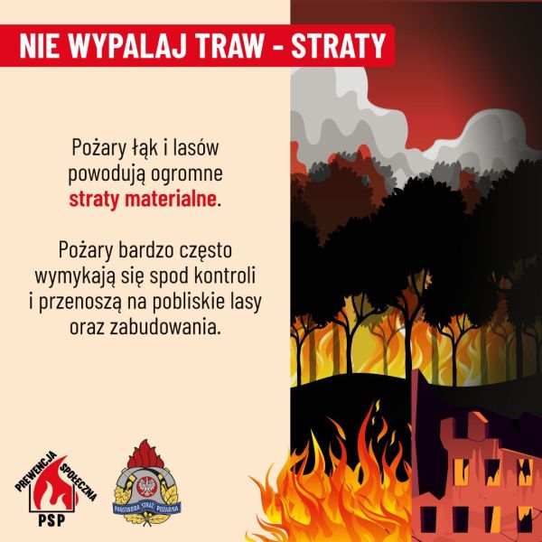 Plakat informacyjny do treści artykułu przedstawia zagrożenia związane z wypalaniem traw oraz kluczowe informacje na ten temat.