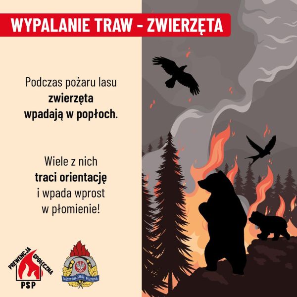 Plakat informacyjny do treści artykułu przedstawia zagrożenia związane z wypalaniem traw oraz kluczowe informacje na ten temat.